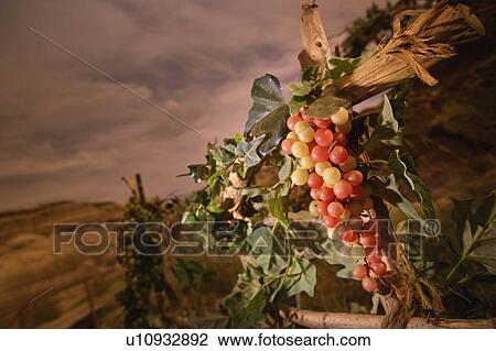 A succah View Large Photo Image Stock Image - A succah. Fotosearch
