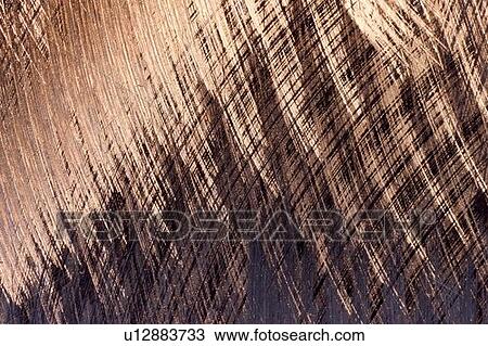 Stock Image - A texture. Fotosearch