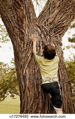 Stock Image - Child climbs a tree. Fotosearch