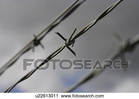 Stock Image - Closeup of barbed wire fencing. Fotosearch