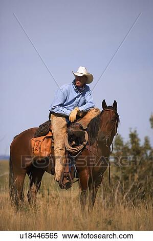 Cowboy and horse View Large Photo Image Stock Photography - Cowboy and horse. Fotosearch