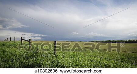 Field of crops with fence View Large Photo Image Stock Photograph - Field of crops with fence. Fotosearch
