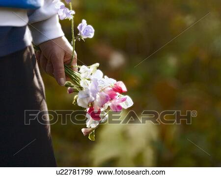 Stock Photo - Freshly picked flowers. Fotosearch
