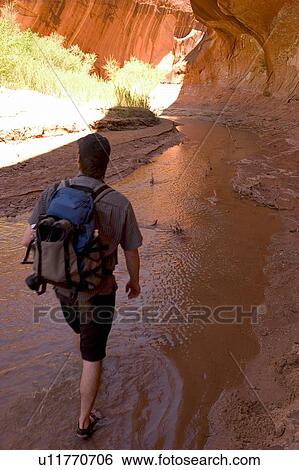 Stock Photograph - Hiker in Coyote Creek at Escalente National Monument. Fotosearch