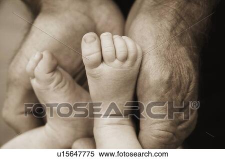 Little toes View Large Photo Image Stock Photography - Little toes. Fotosearch