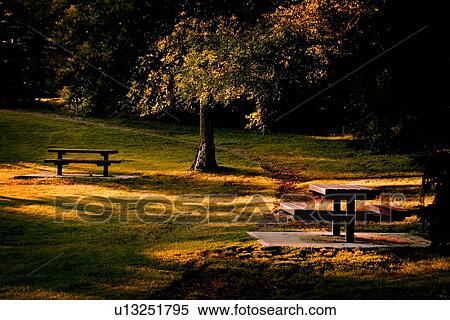 Park and picnic benches View Large Photo Image Stock Photography - Park and picnic benches. Fotosearch