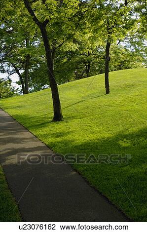 Path in the park View Large Photo Image Stock Image - Path in the park. Fotosearch