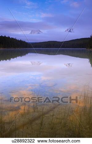 Reflections of Mount Fryatt and Whirlpool Peak at Leach Lake View Large Photo Image Stock Image - Reflections of Mount Fryatt and Whirlpool Peak at Leach Lake. Fotosearch