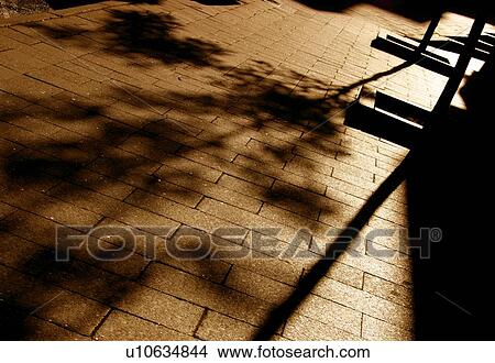 Shadow of a tree on the pavement View Large Photo Image Picture - Shadow of a tree on the pavement. Fotosearch
