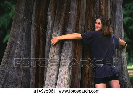 Tree hugging in Stanley Park View Large Photo Image Stock Image - Tree hugging in Stanley Park. Fotosearch