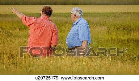 Two men look at a field of crops View Large Photo Image Stock Photo - Two men look at a field of crops. Fotosearch