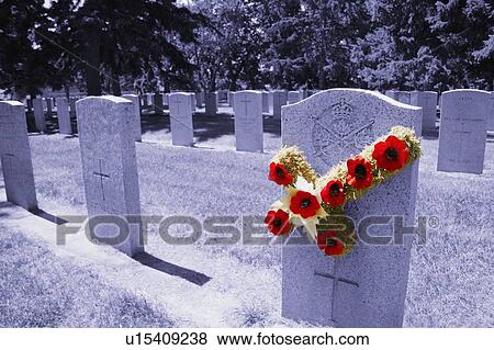 We shall remember them View Large Photo Image Stock Photo - We shall remember them. Fotosearch