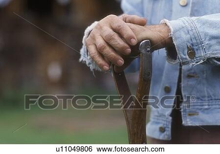 Weathered hands holding a cane View Large Photo Image Stock Photograph - Weathered hands holding a cane. Fotosearch