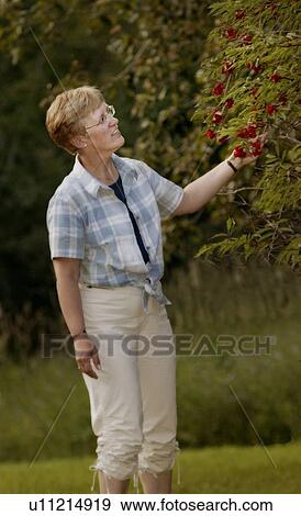 Stock Photo - Woman looking at berries. Fotosearch
