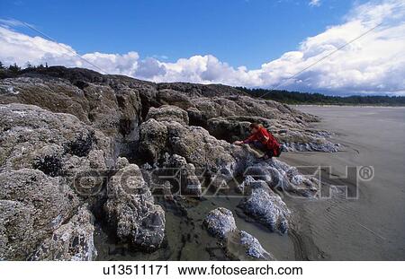 Woman on rocky shore at Pacific Rim National Park View Large Photo Image Stock Image - Woman on rocky shore at Pacific Rim National Park. Fotosearch