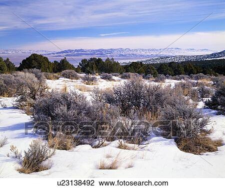A high desert winter landscape, Great Basin National Park View Large Photo Image Stock Image - A high desert winter landscape, Great Basin National Park. Fotosearch