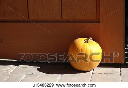 A lone pumpkin View Large Photo Image Stock Photo - A lone pumpkin. Fotosearch