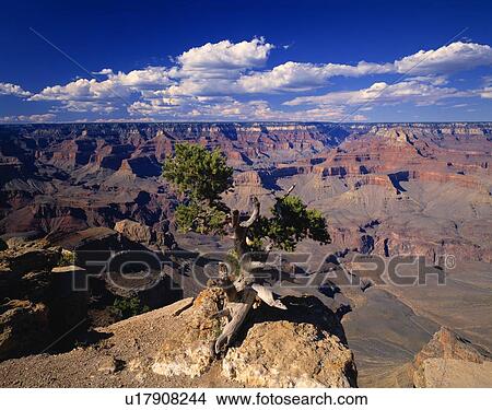 Picture - A scenic canyon. Fotosearch