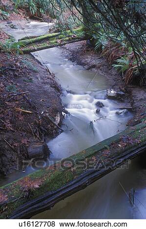 Bridges across winding stream View Large Photo Image Stock Photo - Bridges across winding stream. Fotosearch