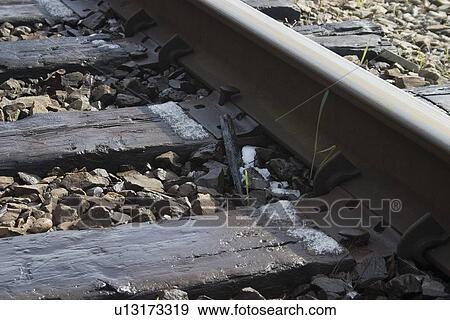 Close up of an older train track in the spring View Large Photo Image Stock Photo - Close up of an older train track in the spring. Fotosearch