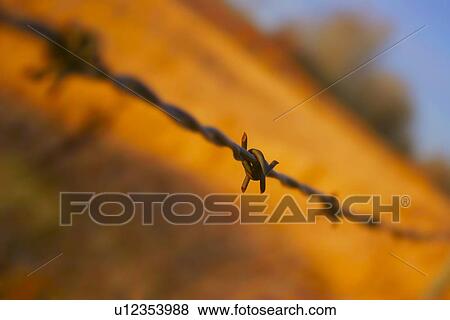 Stock Photo - Close up of barbed wire fence. Fotosearch
