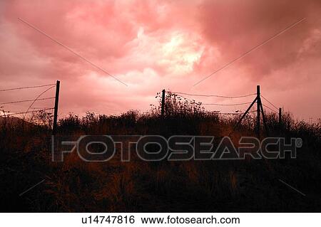 Dark sky over fenced in field View Large Photo Image Stock Photograph - Dark sky over fenced in field. Fotosearch