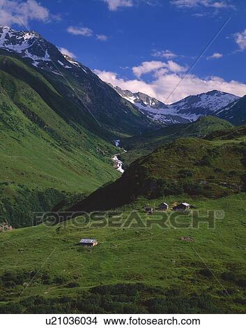 Farm in the valley with Swiss Alps in background View Large Photo Image Picture - Farm in the valley with Swiss Alps in background. Fotosearch