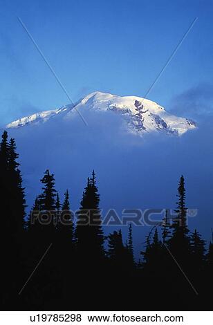 Fog on Mowich Face, forest silhouettes, Mount Rainier National Park. View Large Photo Image Stock Photo - Fog on Mowich Face, forest silhouettes, Mount Rainier National Park.. Fotosearch