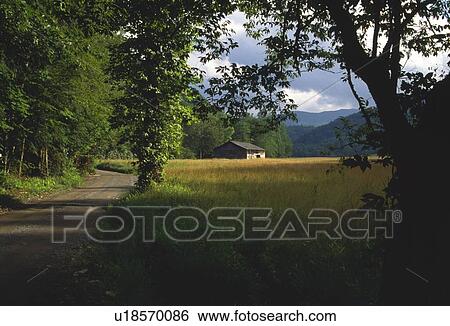 Forest shadow, distant cabin, Cataloochee Cove, Great Smoky Mountains National Park View Large Photo Image Stock Photograph - Forest shadow, distant cabin, Cataloochee Cove, Great Smoky Mountains National Park. Fotosearch
