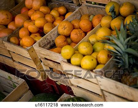 Fresh fruit in the market View Large Photo Image Stock Photo - Fresh fruit in the market. Fotosearch