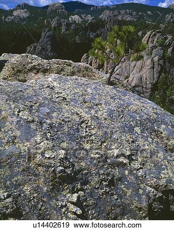 Granite rocks, Black Hills National Forest View Large Photo Image Stock Photo - Granite rocks, Black Hills National Forest. Fotosearch