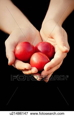 Stock Photo - Hands full of red fruit. Fotosearch