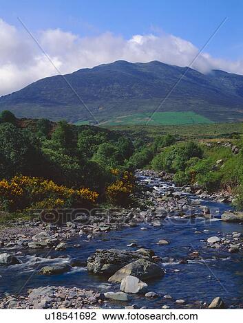 Irish stream and Macgillicuddy's Reeks Mountains View Large Photo Image Stock Image - Irish stream and Macgillicuddy's Reeks Mountains. Fotosearch