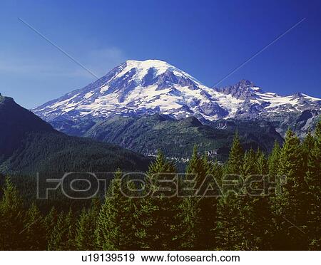 Stock Photo - Mount Rainier, Mount Rainier National Park. Fotosearch