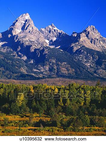 Mountain peaks of the Teton Range, Grand Teton National Park View Large Photo Image Stock Image - Mountain peaks of the Teton Range, Grand Teton National Park. Fotosearch