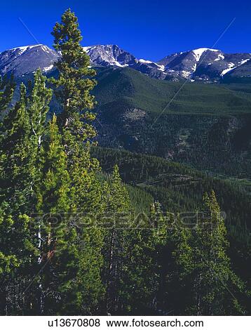 Mountain scene, Rocky Mountain National Park View Large Photo Image Stock Photo - Mountain scene, Rocky Mountain National Park. Fotosearch