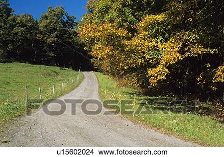 Scenic country road View Large Photo Image Picture - Scenic country road. Fotosearch