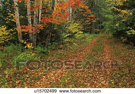 Scenic country road View Large Photo Image Stock Photo - Scenic country road. Fotosearch