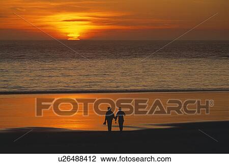 Silhouetted lovers, beach sunset. View Large Photo Image Stock Image - Silhouetted lovers, beach sunset.. Fotosearch
