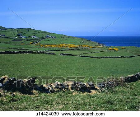 Stone walls and pastures along Galway Bay View Large Photo Image Stock Photo - Stone walls and pastures along Galway Bay. Fotosearch