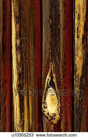 Stock Image - Tree bark. Fotosearch