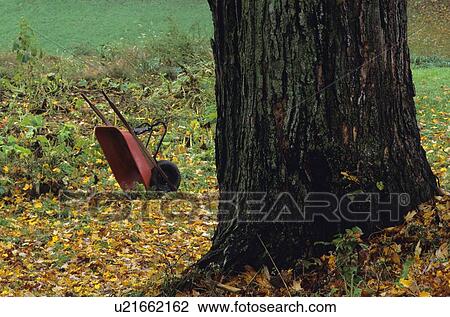 Wheelbarrow not in use View Large Photo Image Stock Image - Wheelbarrow not in use. Fotosearch