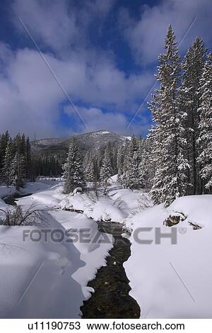 Wilderness creek View Large Photo Image Stock Image - Wilderness creek. Fotosearch
