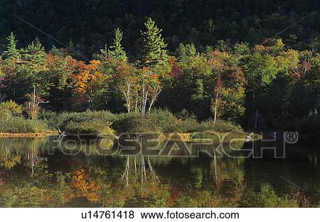 Willey Pond, Crawford Notch White Mountains View Large Photo Image Stock Photo - Willey Pond, Crawford Notch White Mountains. Fotosearch
