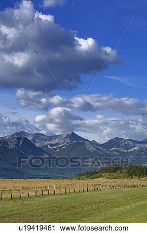 A field with mountains in background View Large Photo Image Stock Image - A field with mountains in background. Fotosearch
