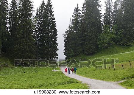 Alpine hikers walk down mountain path View Large Photo Image Stock Image - Alpine hikers walk down mountain path. Fotosearch
