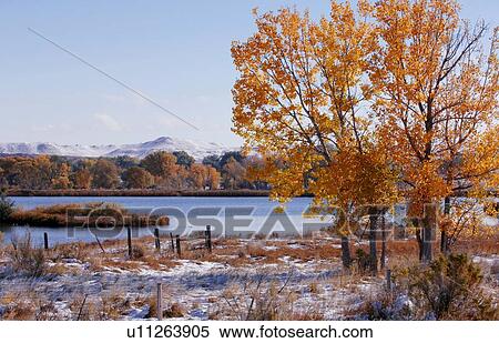 Stock Photography - Autumn tree by a river. Fotosearch