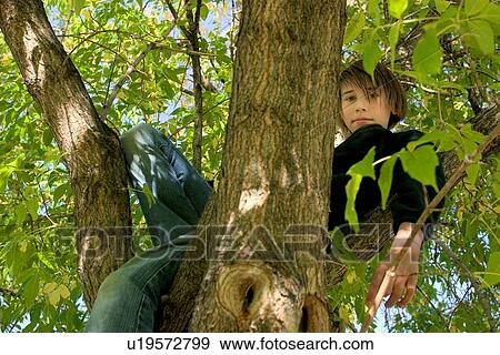 Child in tree View Large Photo Image Stock Photo - Child in tree. Fotosearch
