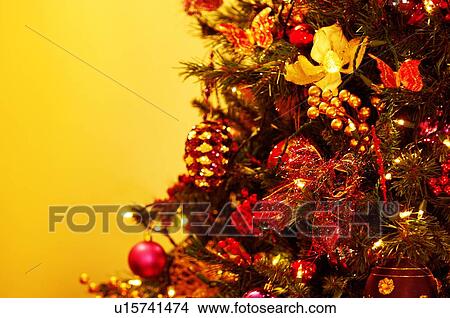 Closeup of Christmas tree View Large Photo Image Picture - Closeup of Christmas tree. Fotosearch