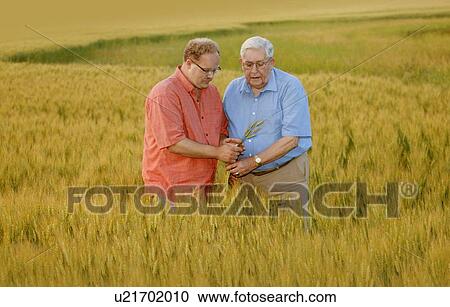 Father and son look at crop View Large Photo Image Stock Image - Father and son look at crop. Fotosearch